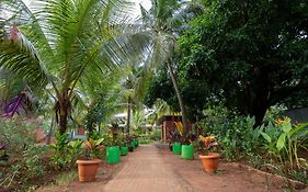 Claynest Resorts